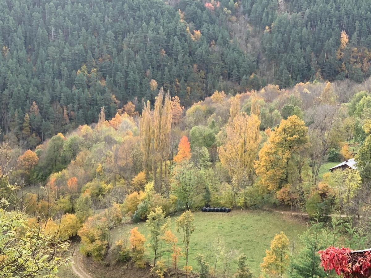 Casa Rural Pirineu Neva Kültér fotó